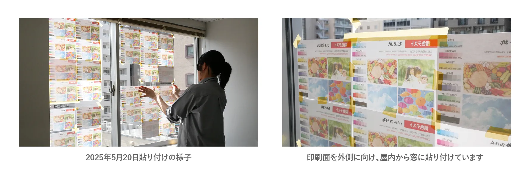 褪色実験の様子
