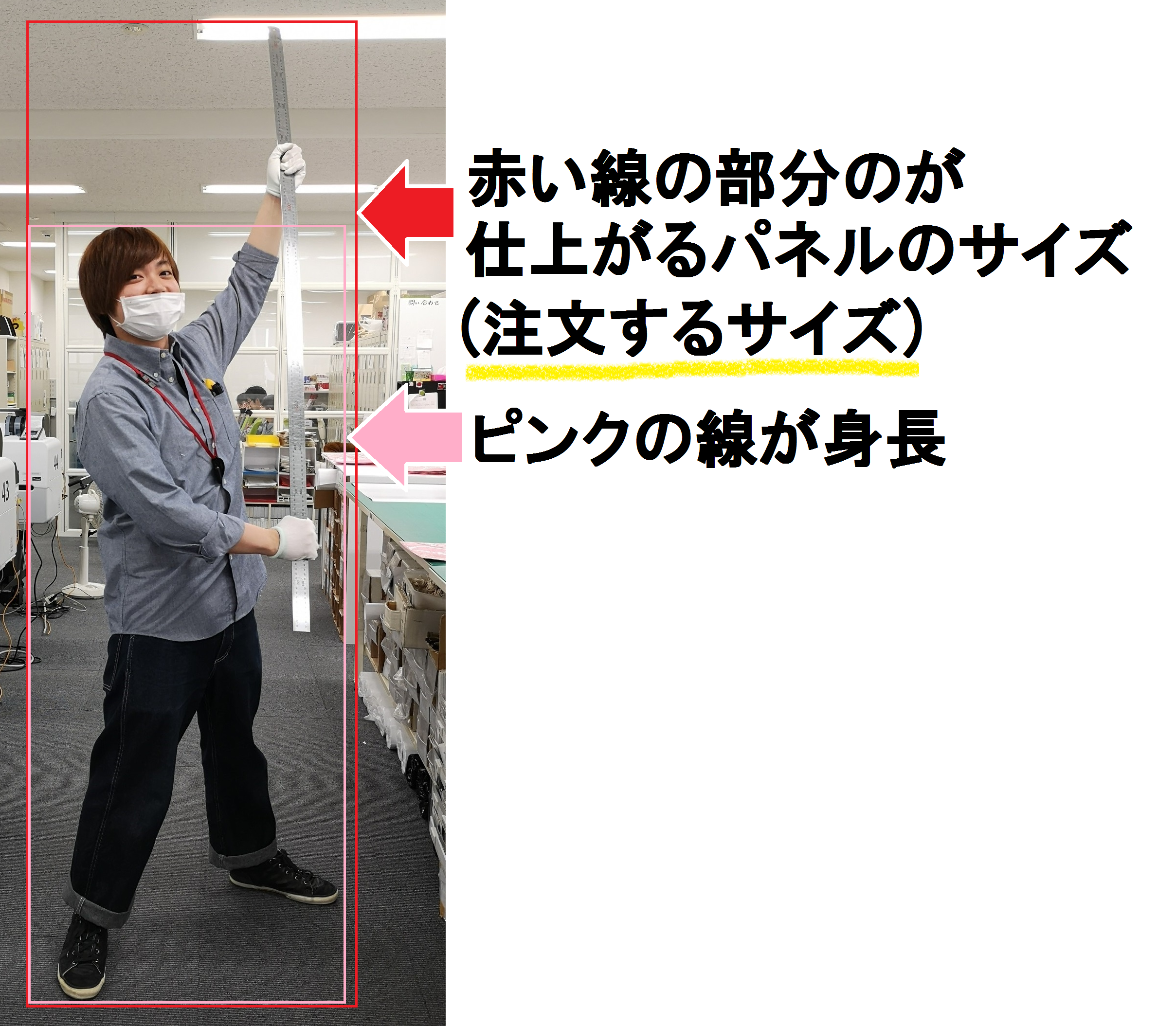 身長をご指示いただく際の注意事項 ポスター印刷のプリオ