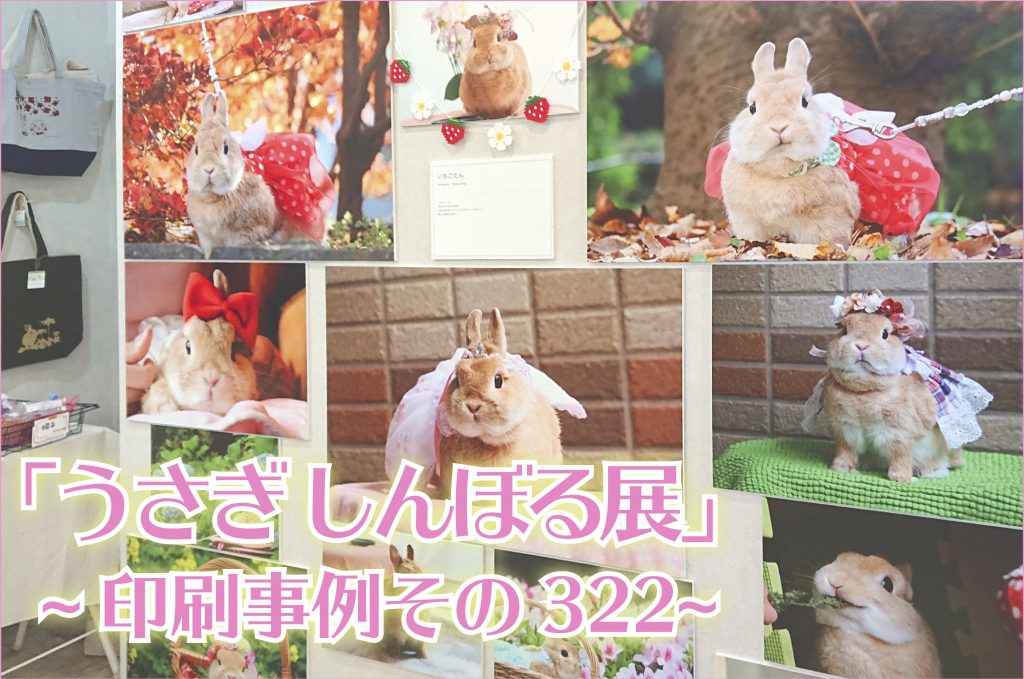 うさぎしんぼる展