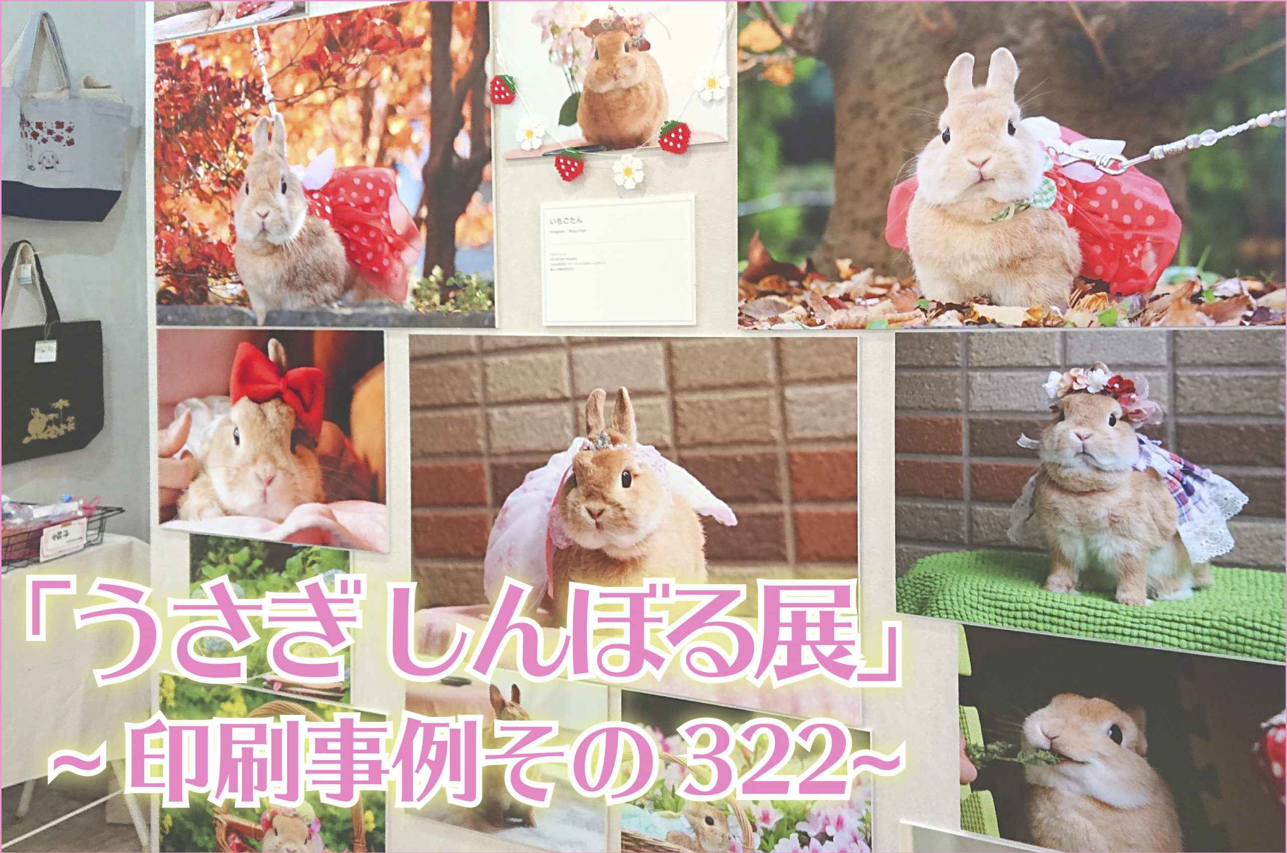 うさぎしんぼる展 Michicoさま 印刷事例322 ポスター印刷のプリオ うさぎしんぼる展 Michicoさま 印刷事例322 ポスター印刷のプリオ