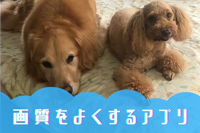 ポスター印刷のプリオ ポスター印刷・等身大パネルをもっと便利に！大判出力のプリオ