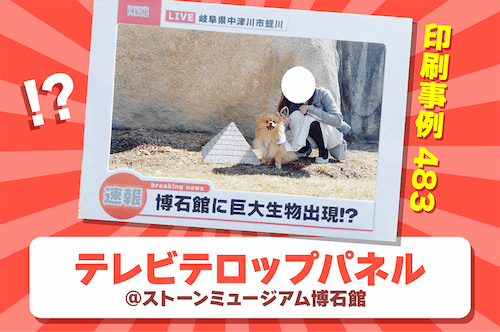 印刷事例483