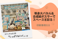 ５３３アイキャッチ