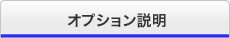 オプション説明