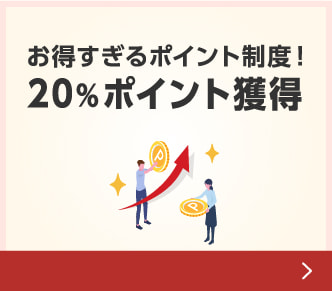 20%ポイント獲得