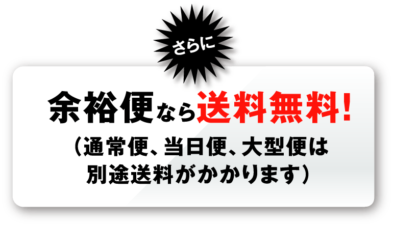 余裕便なら送料無料！（通常便、当日便は別途送料がかかります）