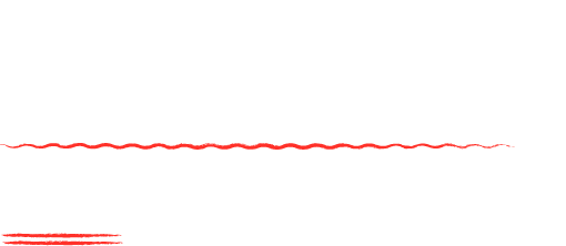 prioはサポートサービスに自信があります。