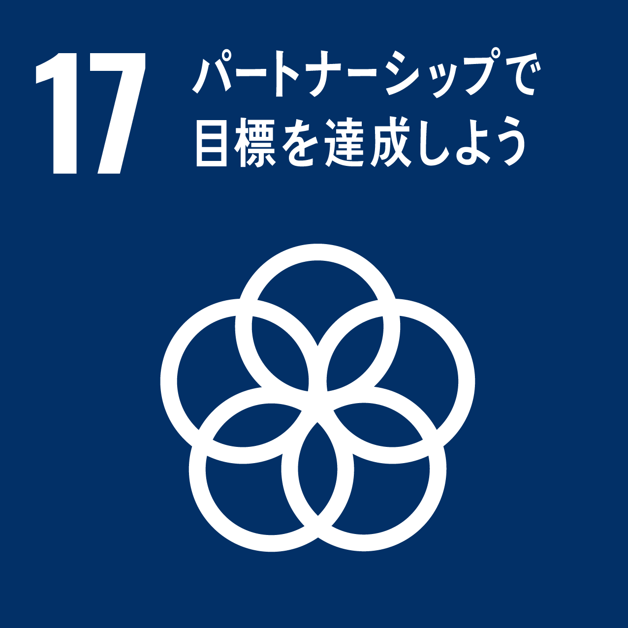 SDGs目標17に対する取り組み